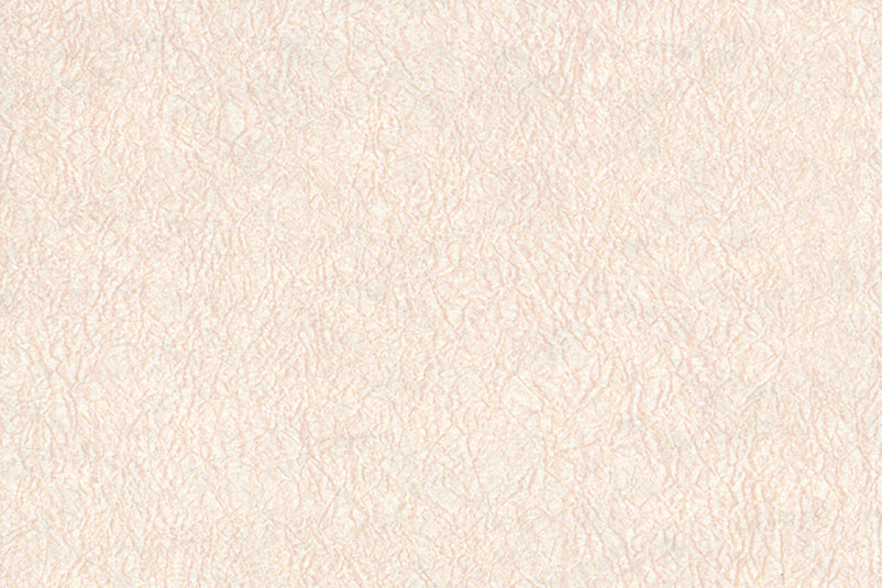 sw-6528
